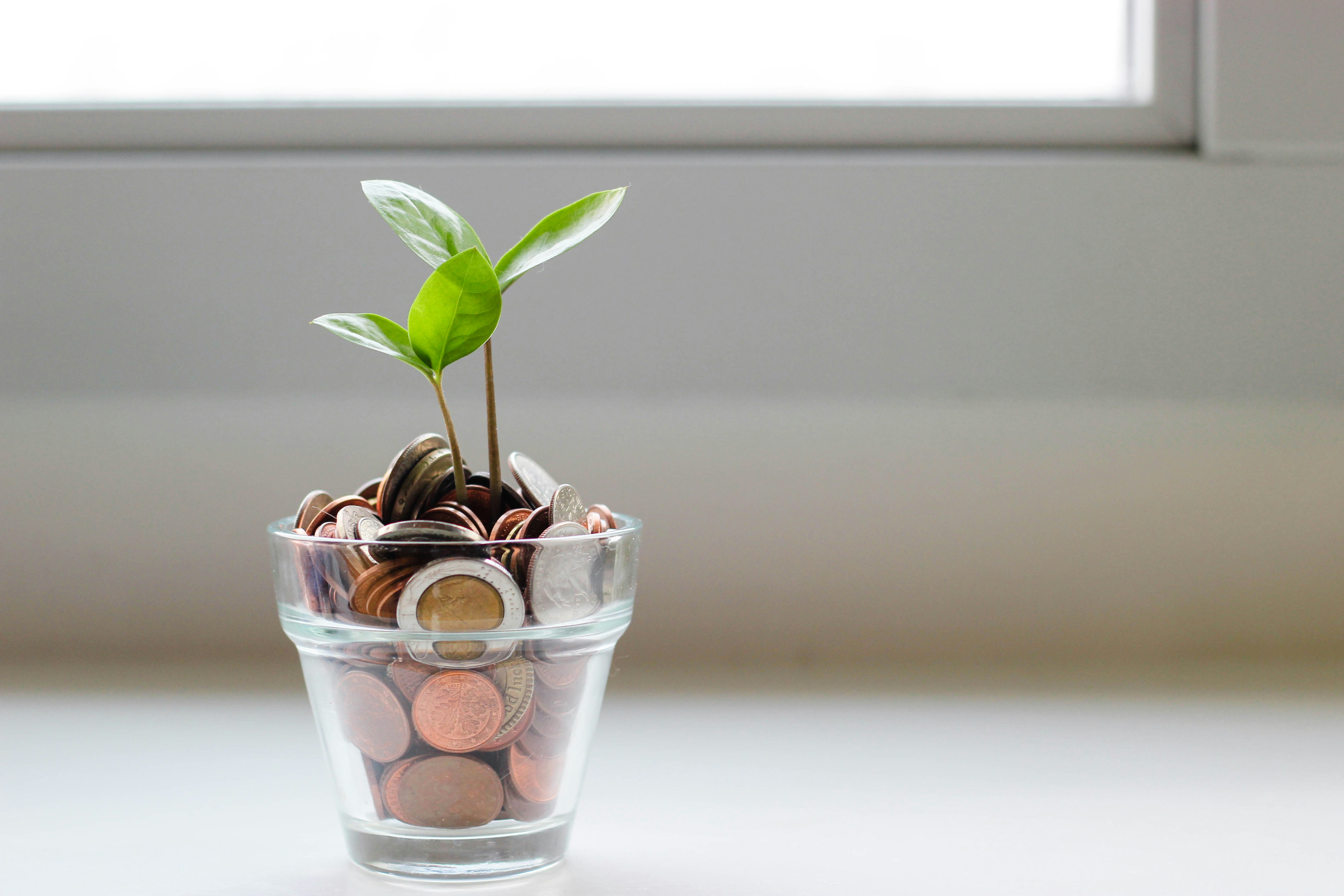 Secure online giving platform for church donations and tithing
